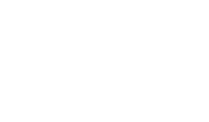 Decathlon-Logo_web